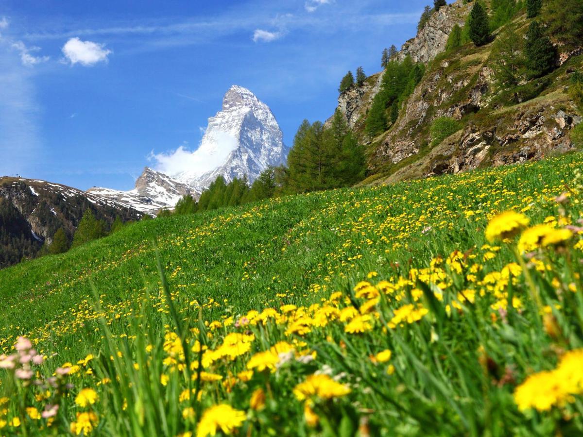 Apartment Haus Rollin By Interhome Zermatt Esterno foto